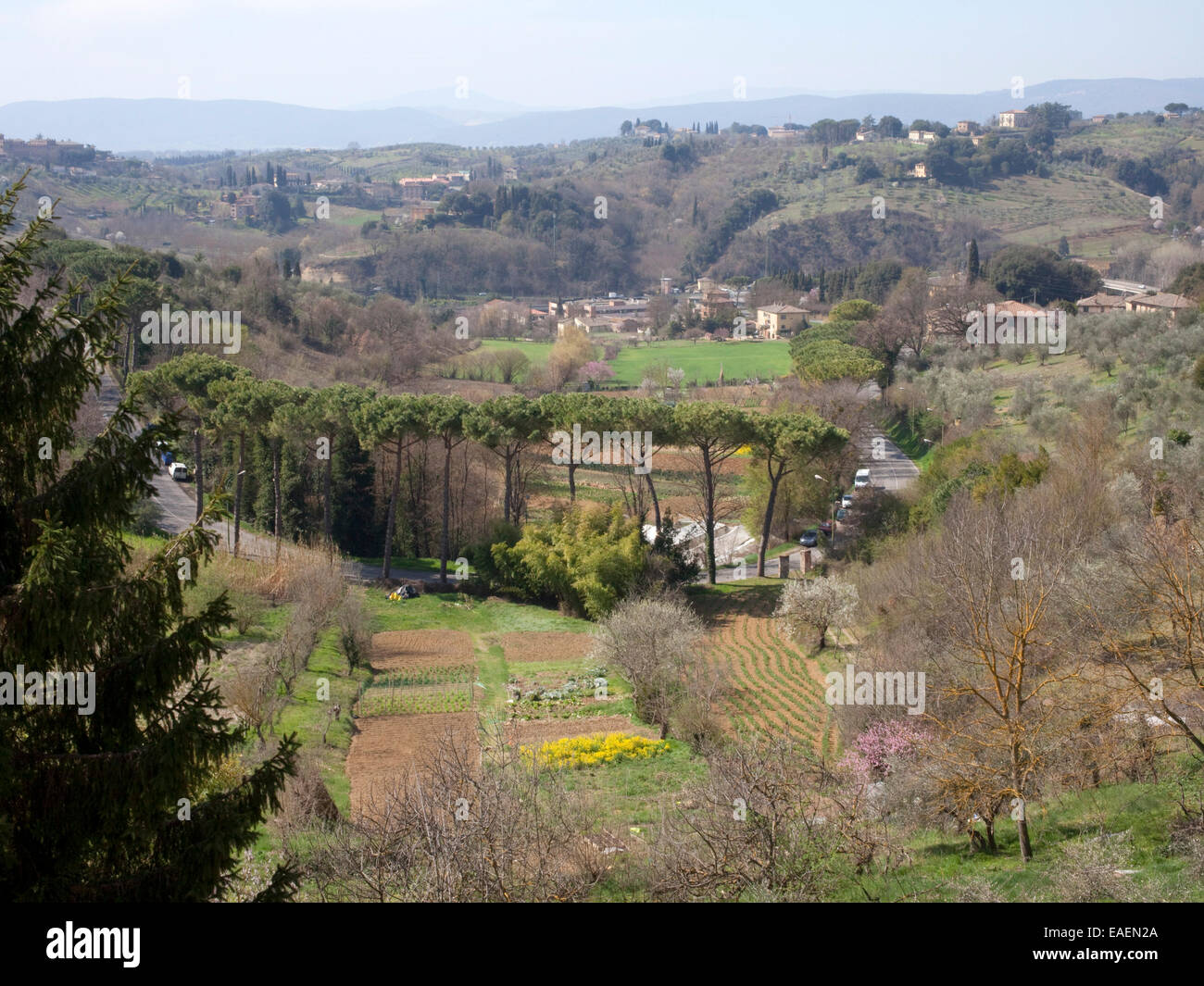 Campagne toscane vue de Sienne, Italie Banque D'Images