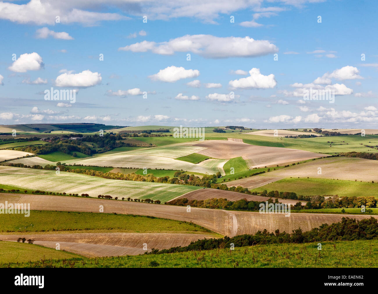 Vue sur les South Downs à au nord de la South Downs Way entre Brighton et Lewes, East Sussex Banque D'Images