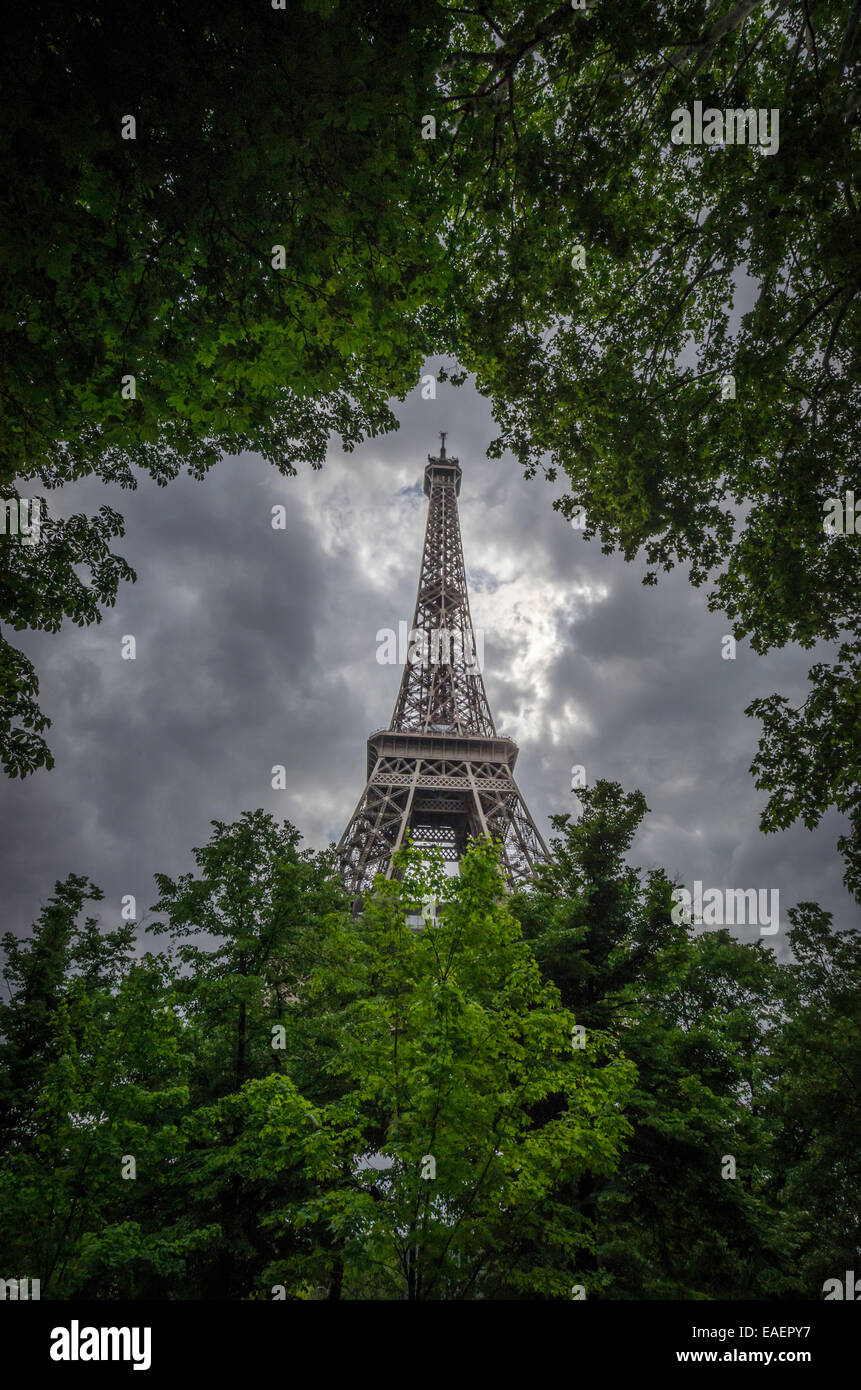 La Tour Eiffel à travers les arbres Banque D'Images
