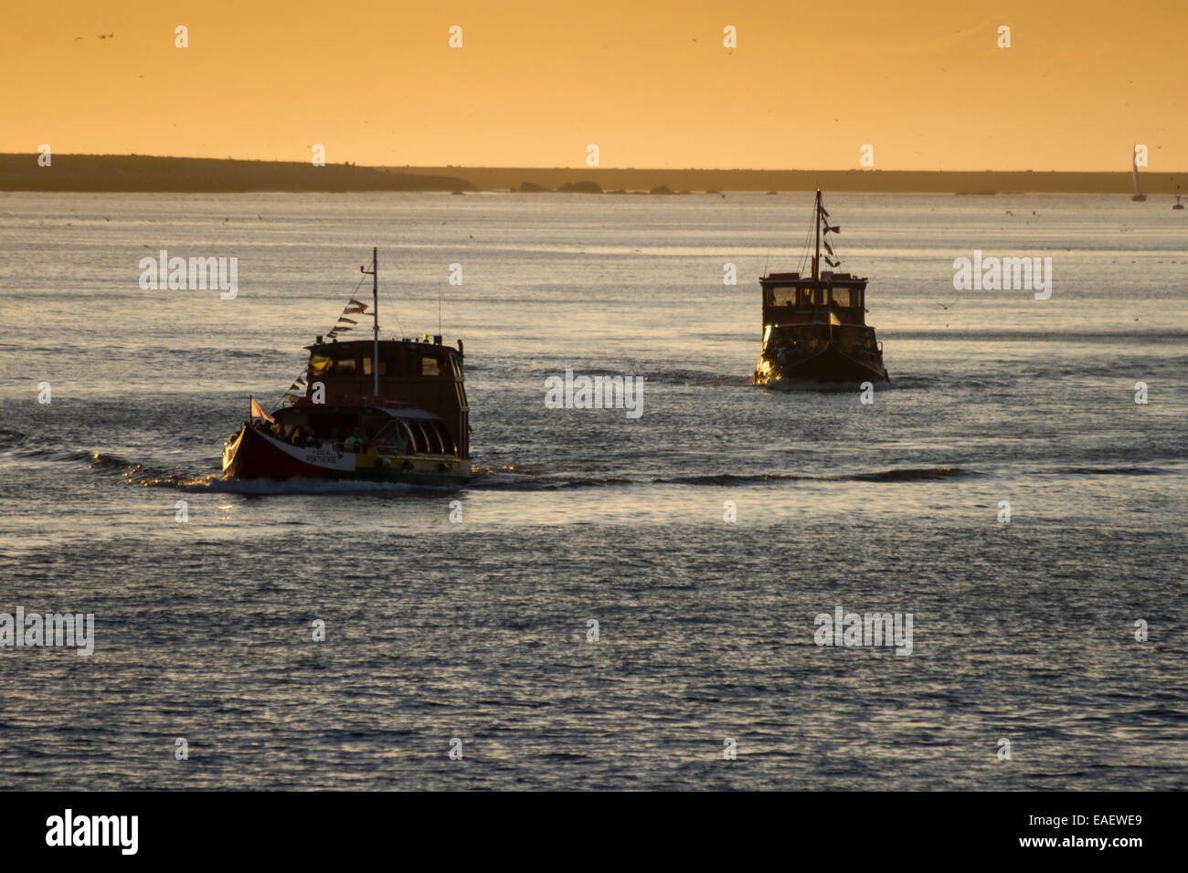 Bateau de tourisme sur le fleuve Douro au coucher du soleil, Porto, Portugal Banque D'Images