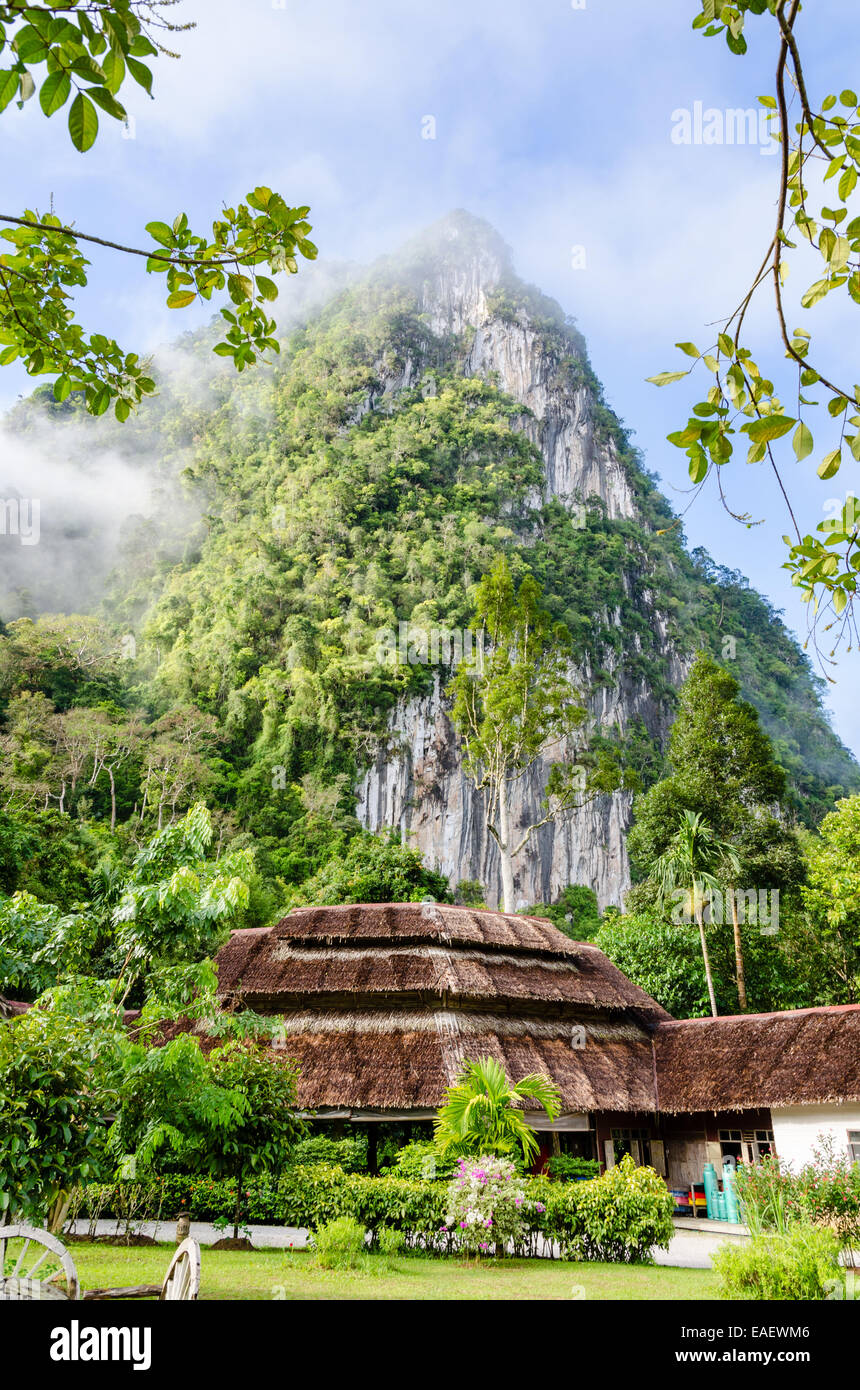 La haute montagne calcaire luxuriantes couvertes par mist entouré par les forêts tropicales de Thaïlande Banque D'Images