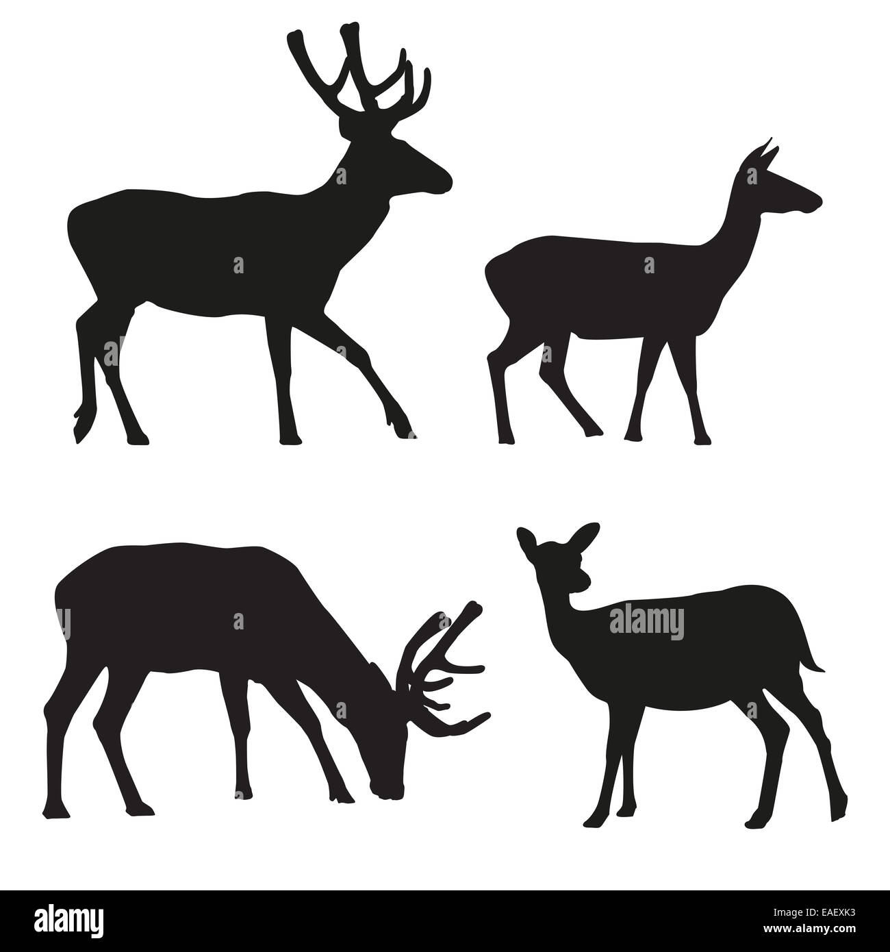 Silhouettes d'hommes, femmes et jeunes deer illustration Banque D'Images