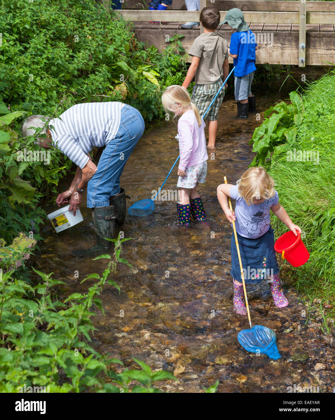 Groupe d'enfants la pêche dans un ruisseau avec des filets. Banque D'Images
