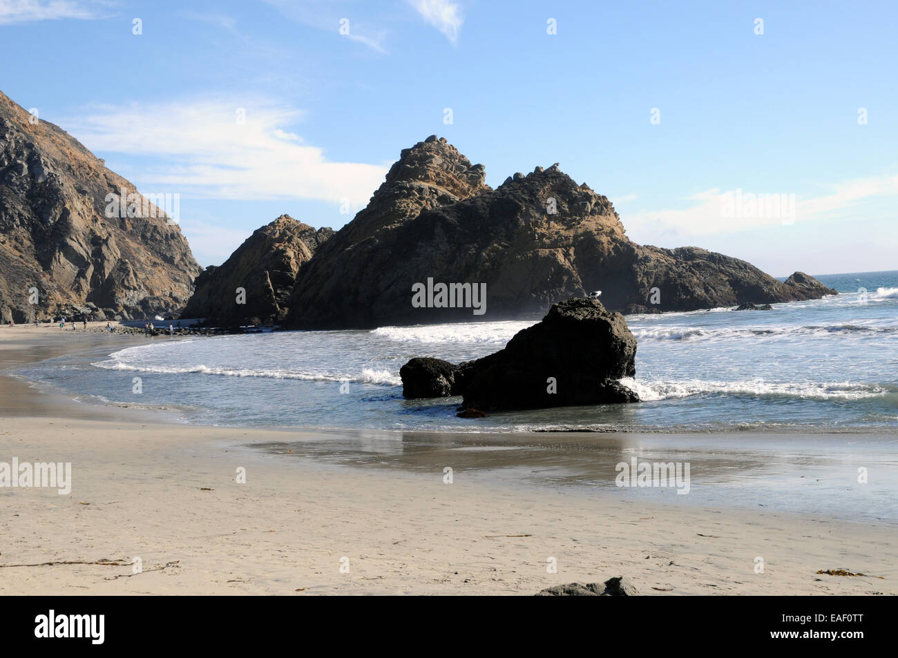 Pfeiffer Beach, un grand détour sur la route le long de la route californienne, 1 Big Sur. C'est célèbre pour ses paysages et sable pourpre. Banque D'Images