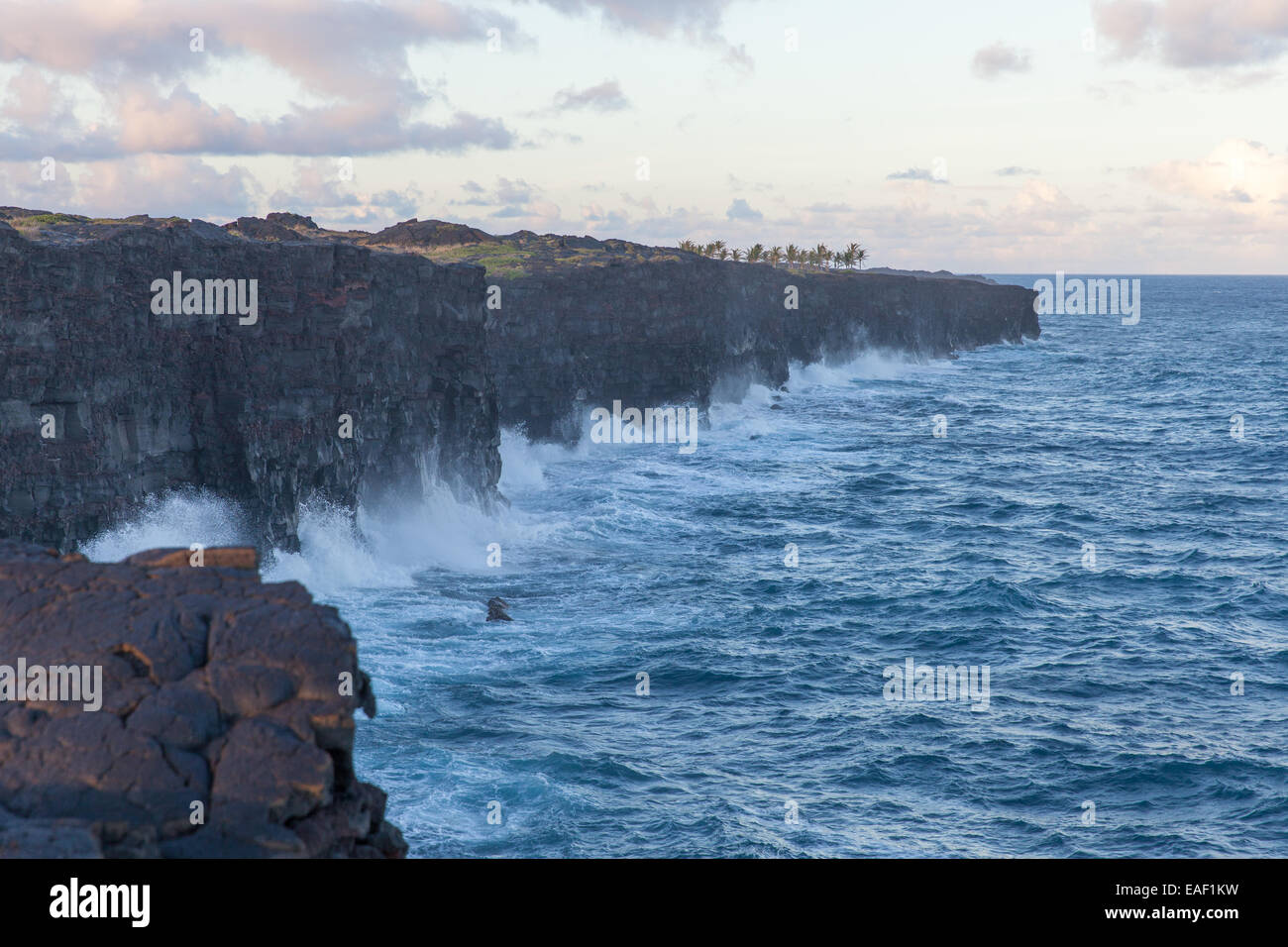 Les falaises et l'océan pacifique sur la côte sud de Big Island Hawaii USA Banque D'Images