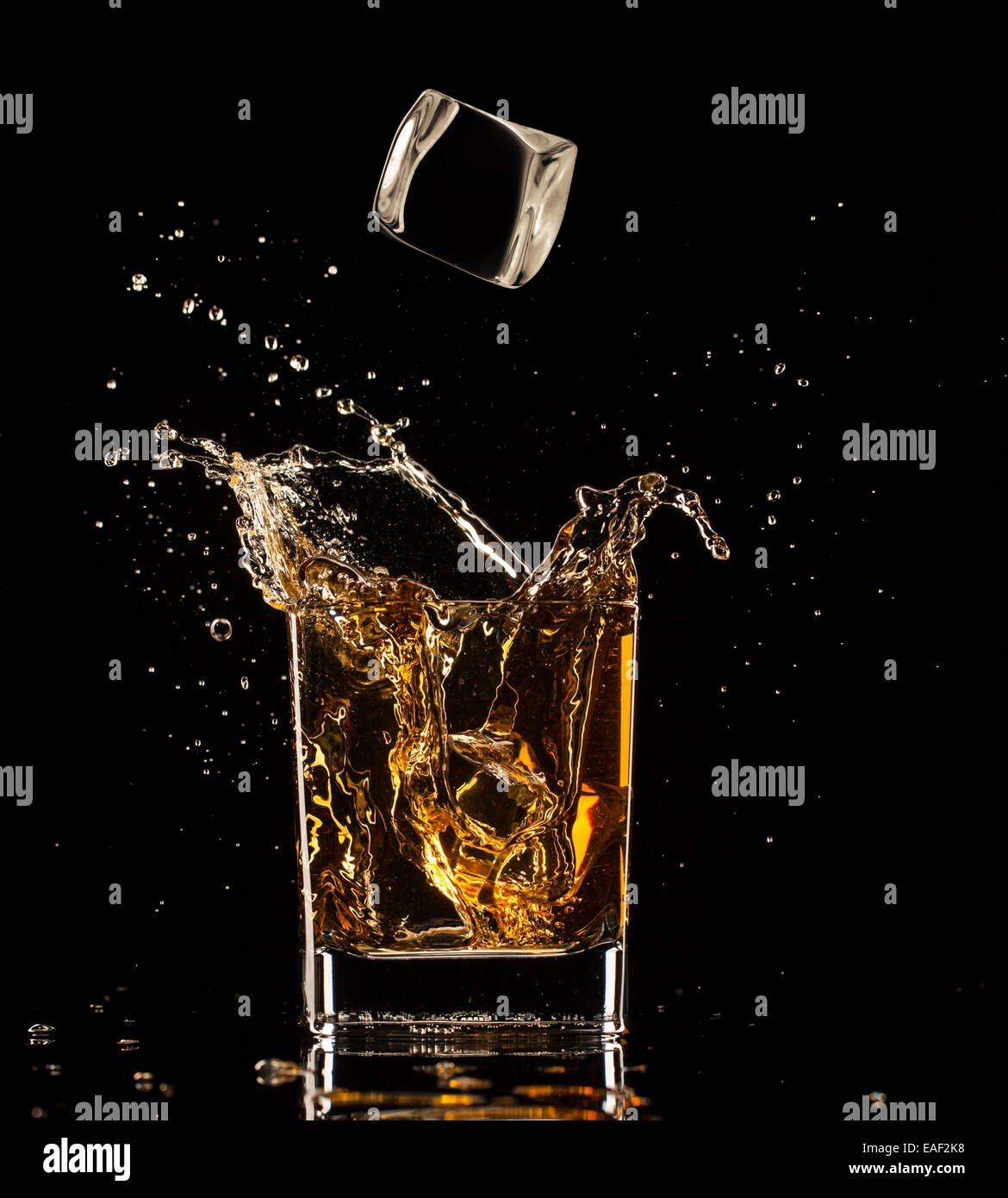 Shot de whiskey isolé avec splash sur fond noir Banque D'Images