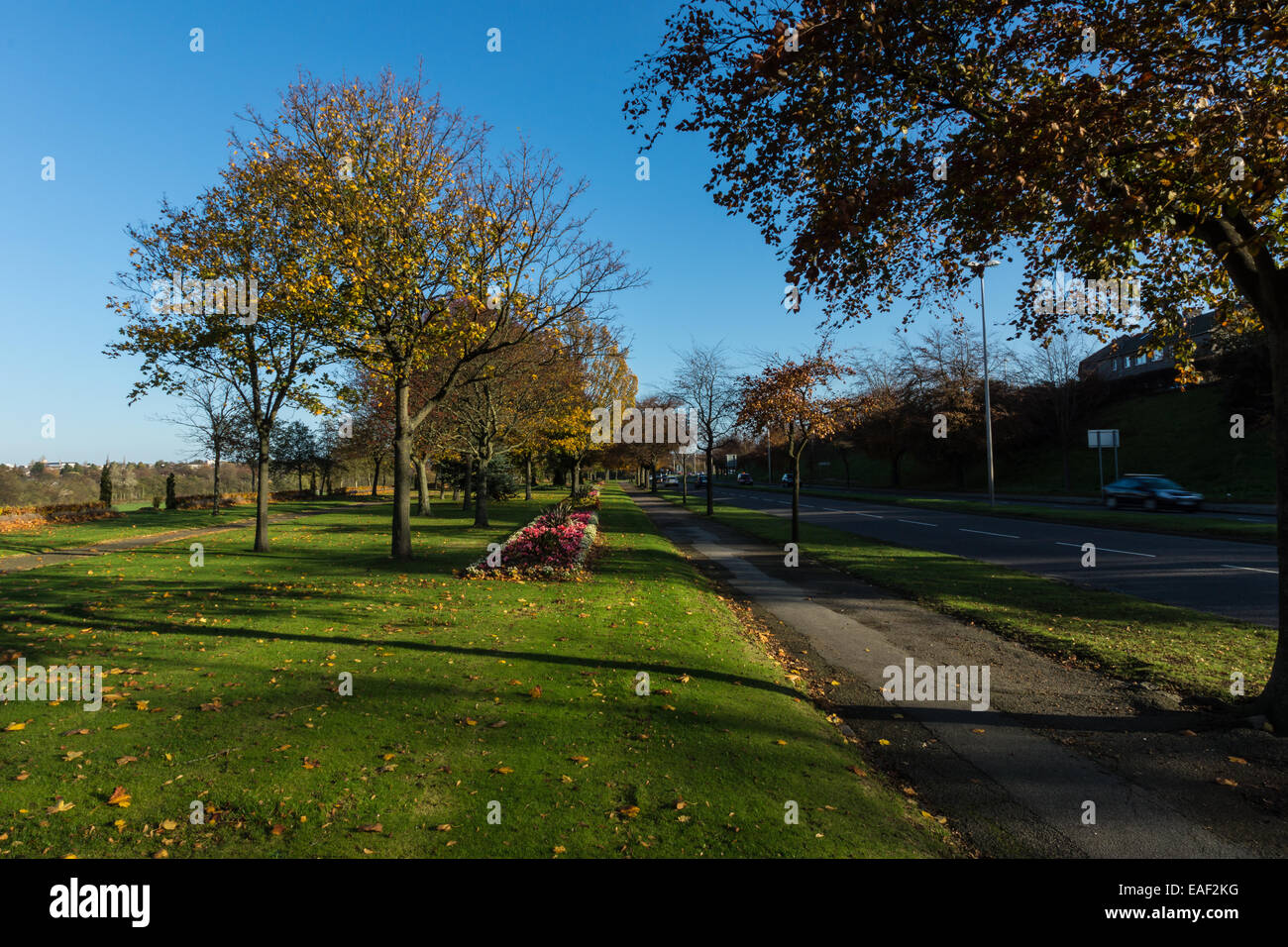 Great Southern Road, Aberdeen le jardin. Banque D'Images