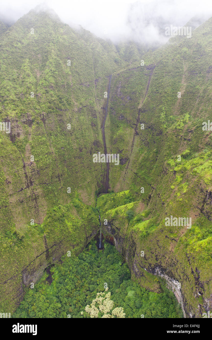 Les falaises et les chutes d'eau dans la réserve forestière de Halelea Kauai Hawaii USA Banque D'Images