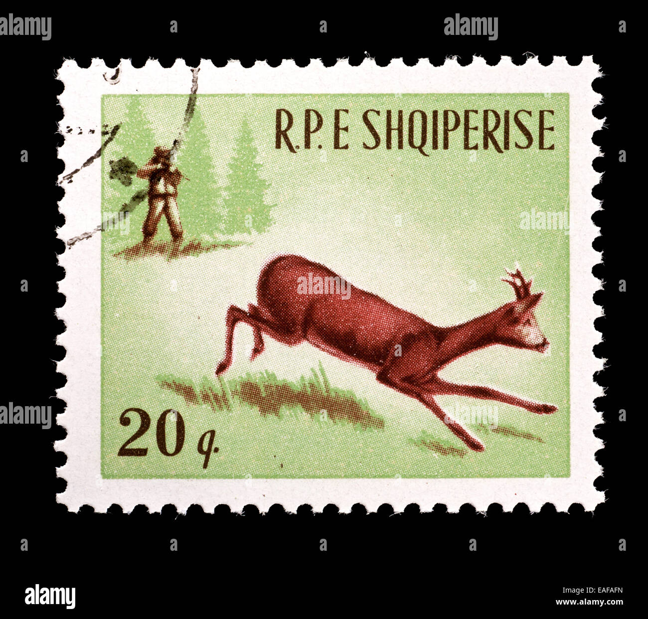 Timbre-poste d'Albanie représentant un chasseur et un cerf. Banque D'Images