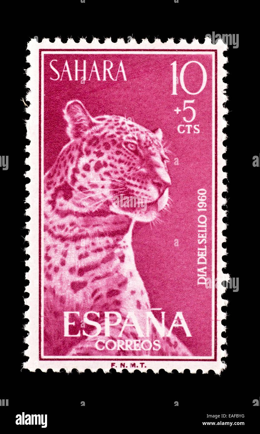 Semi-postal stamp du Sahara espagnol représentant un léopard. Banque D'Images