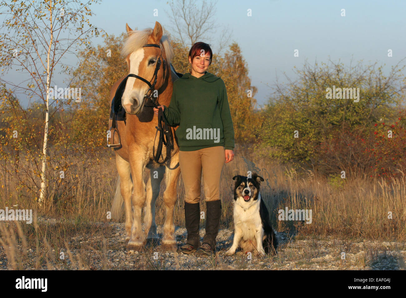 Femme avec cheval et chien Banque D'Images
