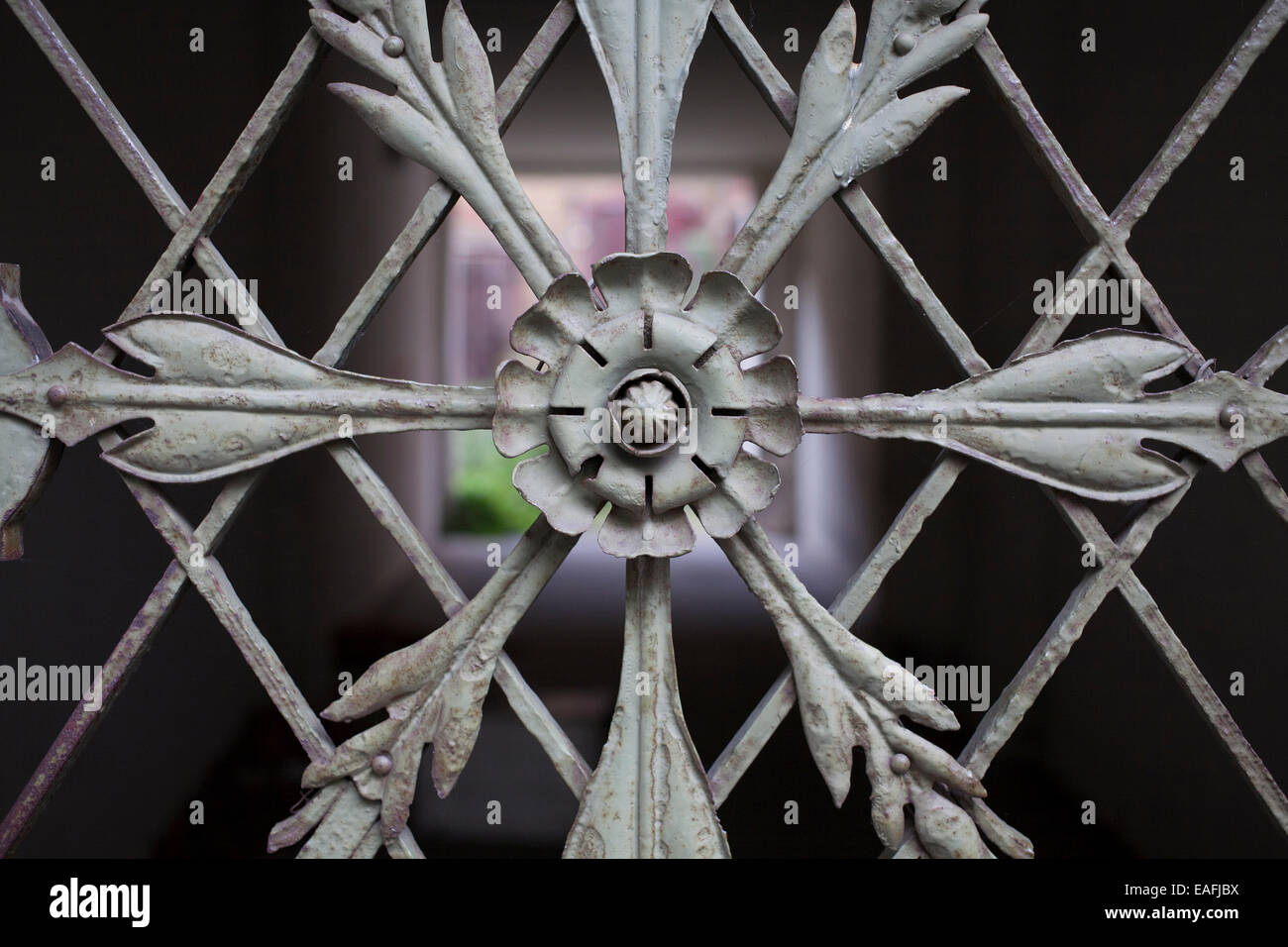 Détail de ferronnerie ouvragée avec grille porte design fleur et feuille et traversé des bars avec vue jusqu'à la zone de passage au-delà Banque D'Images