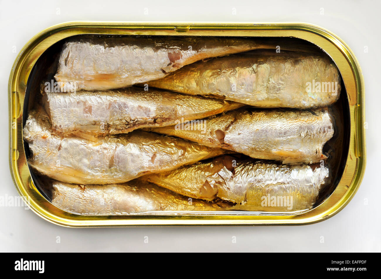 Ouvrir une boîte de sardines sur un fond blanc Banque D'Images