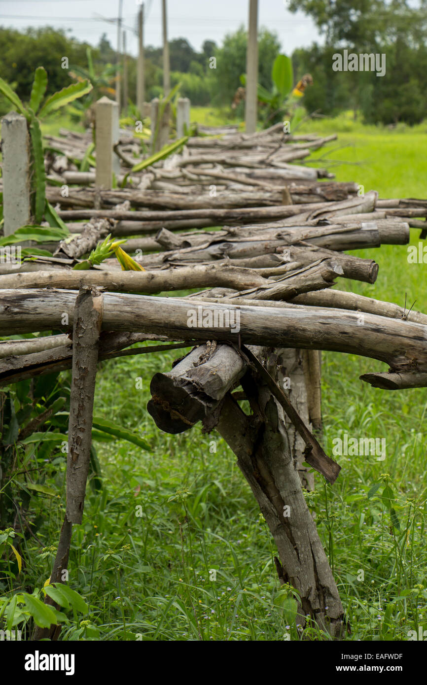 L'ancien pont en bois, en bois, brown, arbres. Banque D'Images