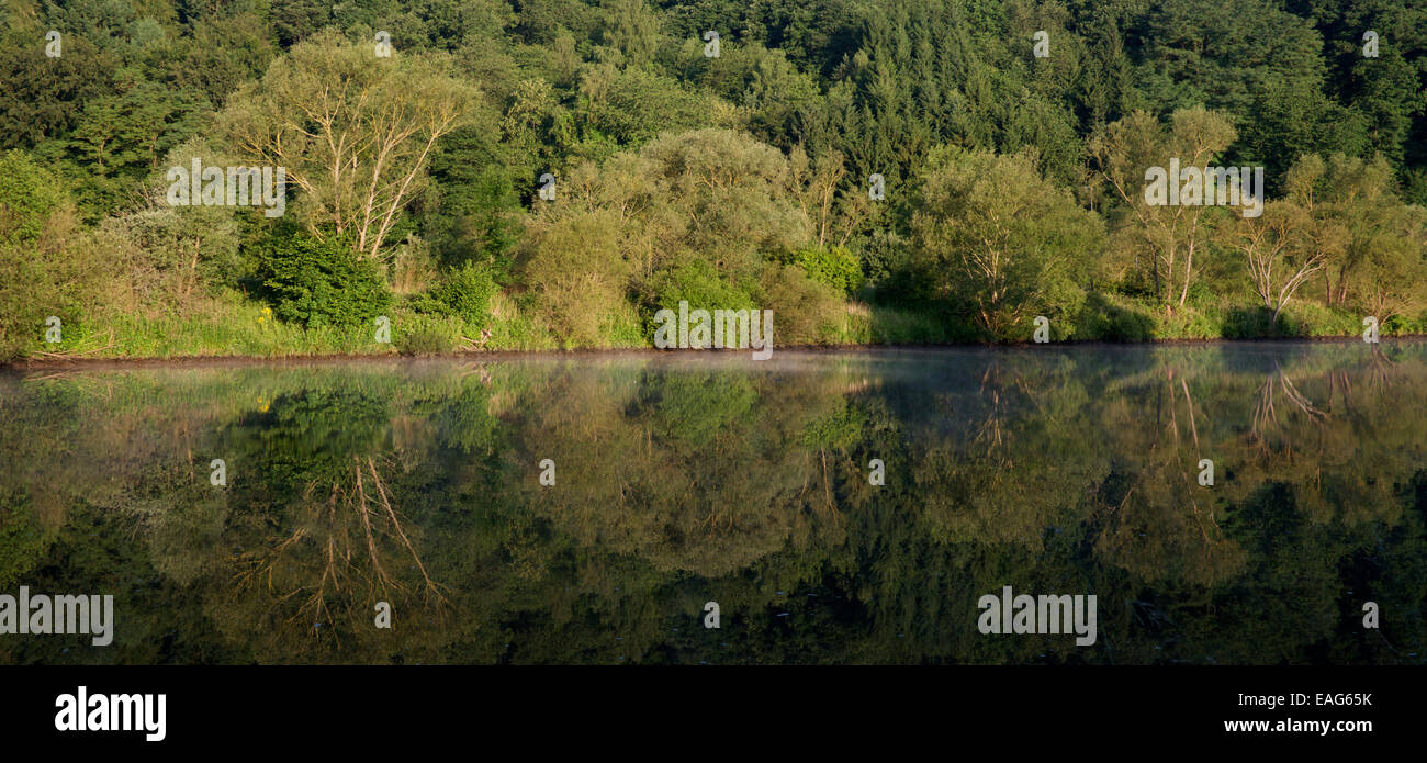 Tôt le matin par des réflexions de la rivière Saar Saarland Allemagne arbres Banque D'Images Tôt le matin par des réflexions de la rivière Saar Saarland Allemagne arbres Banque D'Images