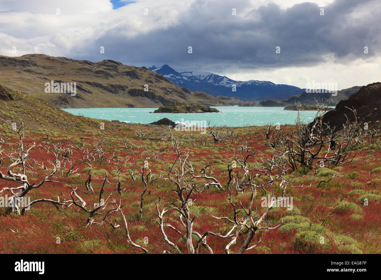 Lac, Parc National Torres del Paine, Chili Banque D'Images