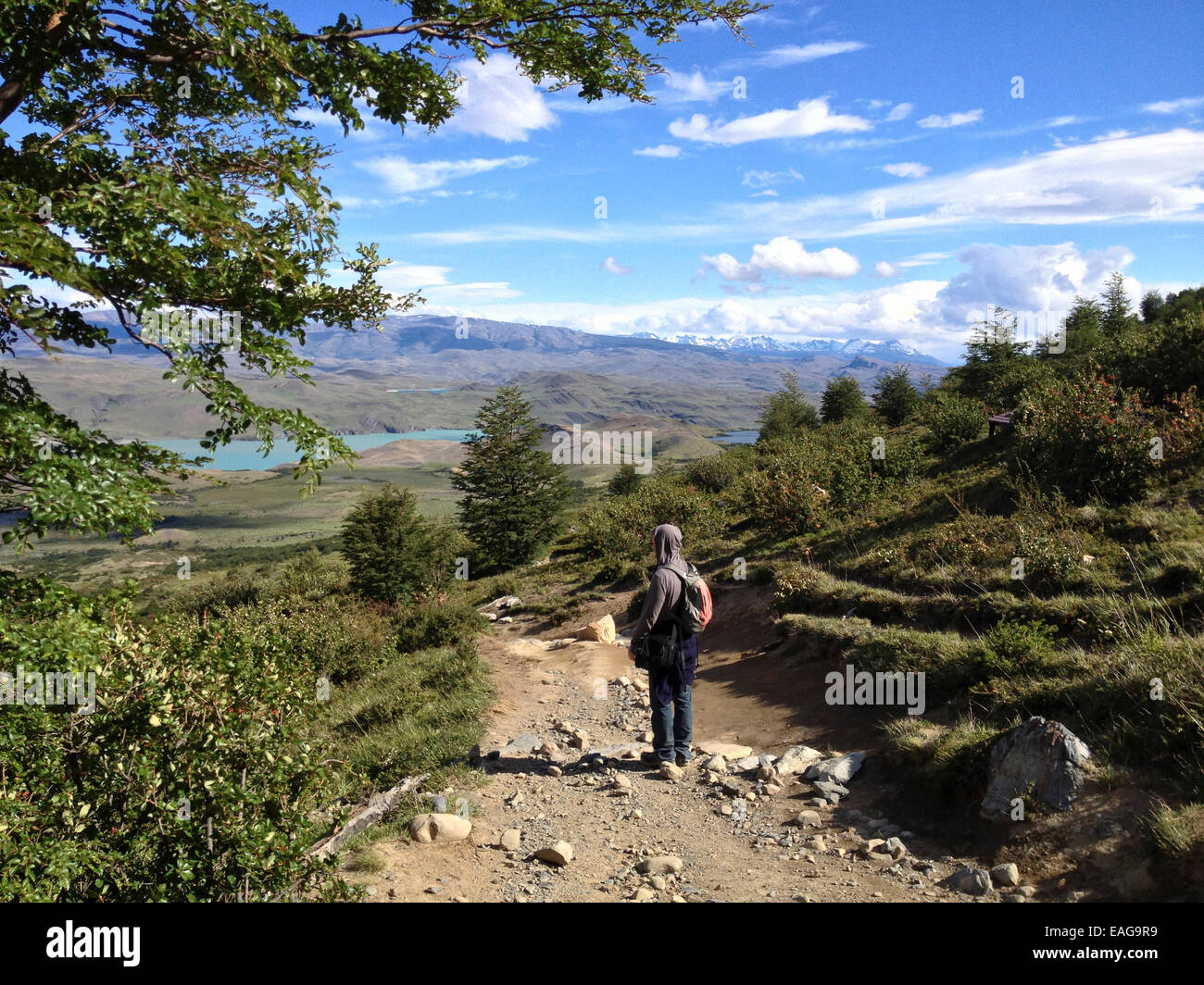 Randonneur dans le Parc National Torres del Paine, Patagonie, Chili Banque D'Images
