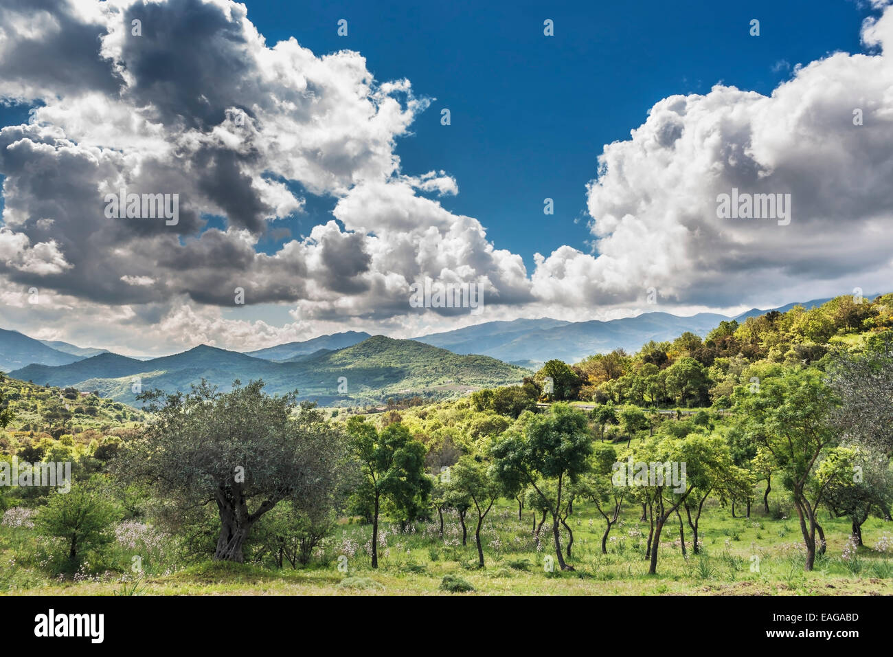 Le Madonie est une chaîne de montagnes au milieu de la côte nord de la Sicile, Italie, Europe Banque D'Images