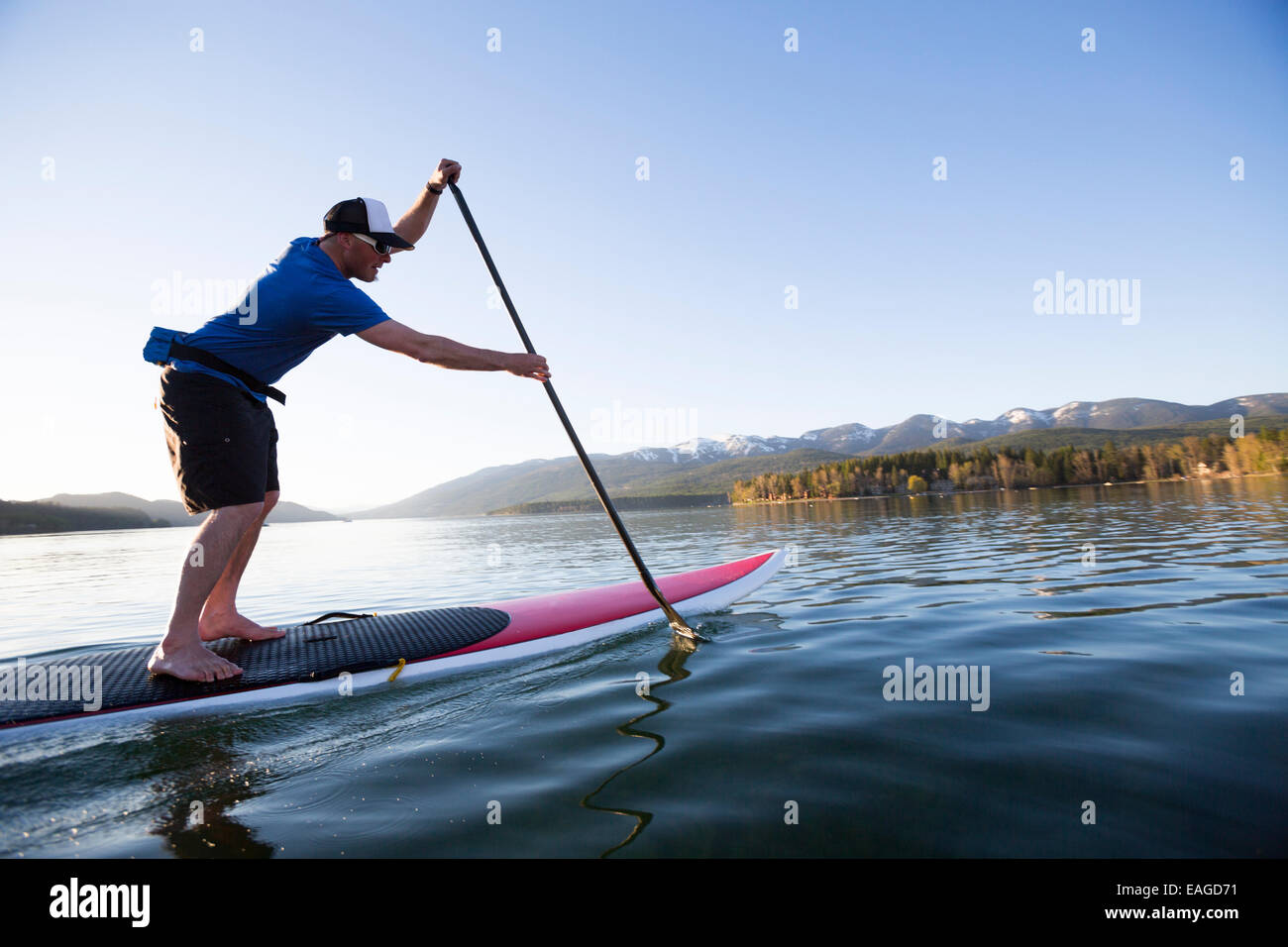 Mâle un stand up paddle (SUP) au coucher du soleil sur le lac Whitefish à Whitefish, Montana. Banque D'Images