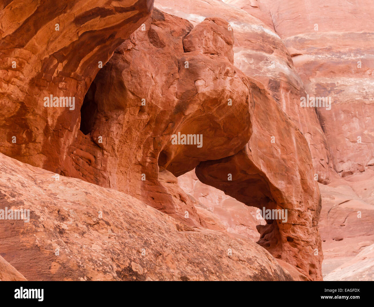 Les tortues s'embrasser Arch dans la fournaise ardente du Parc National Arches dans l'Utah. Banque D'Images