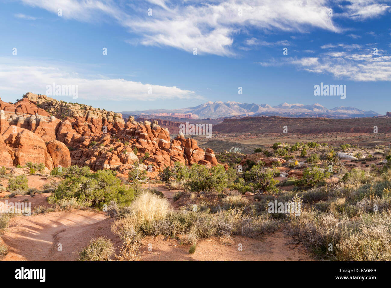 La roche rouge palmes de fournaise ardente dans Parc National Arches dans l'Utah, avec Montagnes La Sal dans l'arrière-plan. Banque D'Images