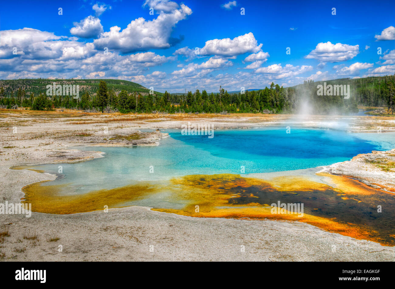 Les paysages pittoresques de l'activité géothermique de Parc National de Yellowstone USA - Biscuit Basin Banque D'Images