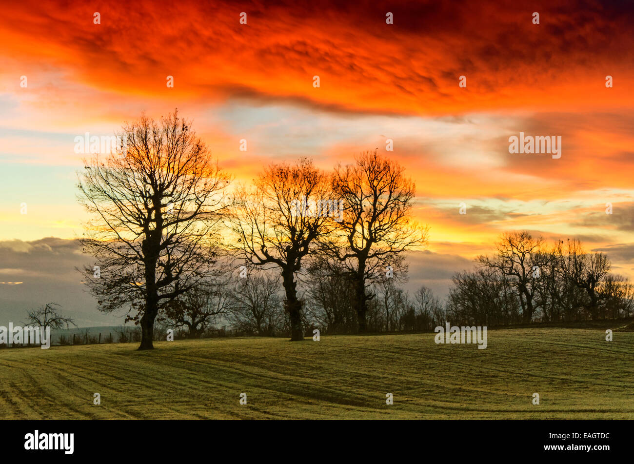 Lever de soleil magique coloré avec des arbres en Grèce Banque D'Images