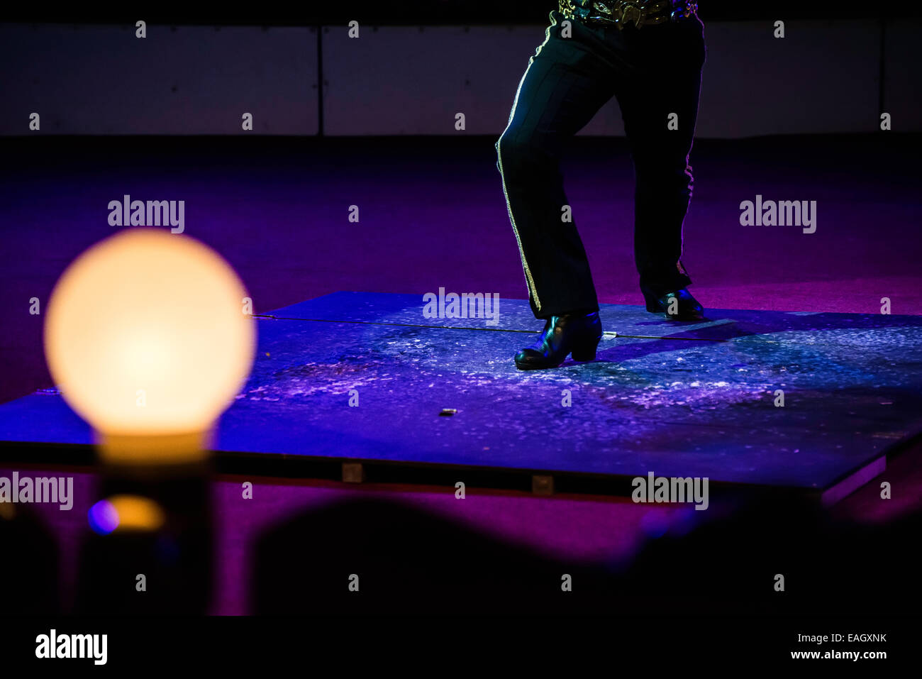 Artiste sur le cirque arena. Banque D'Images