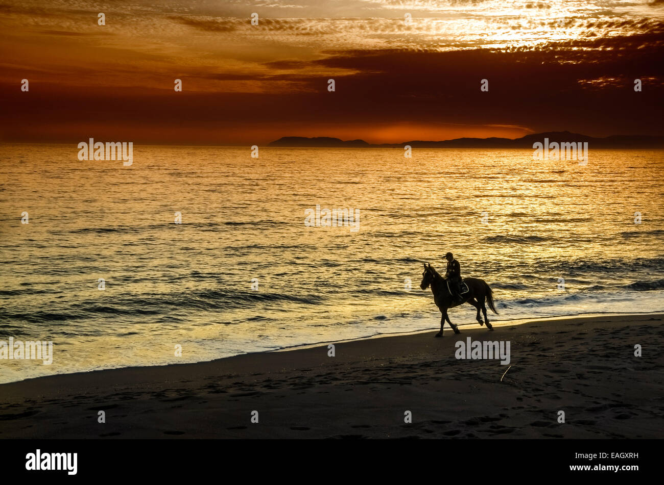Le cheval-cavalier sur la plage pendant le coucher du soleil la Grèce Banque D'Images