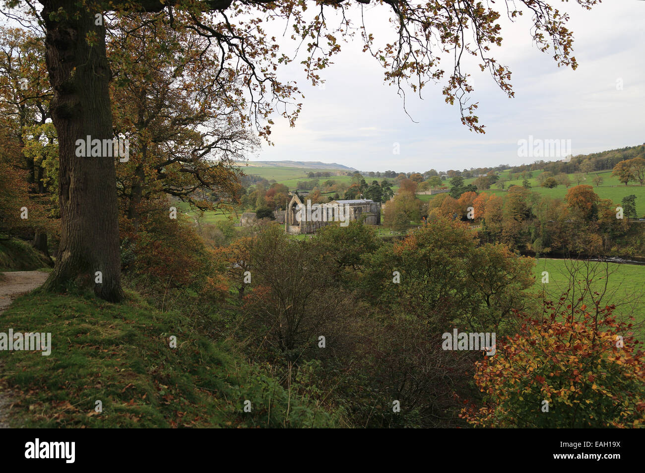 Prieuré à travers des arbres à Bolton Abbey, Skipton, Yorkshire du Nord, Angleterre Banque D'Images