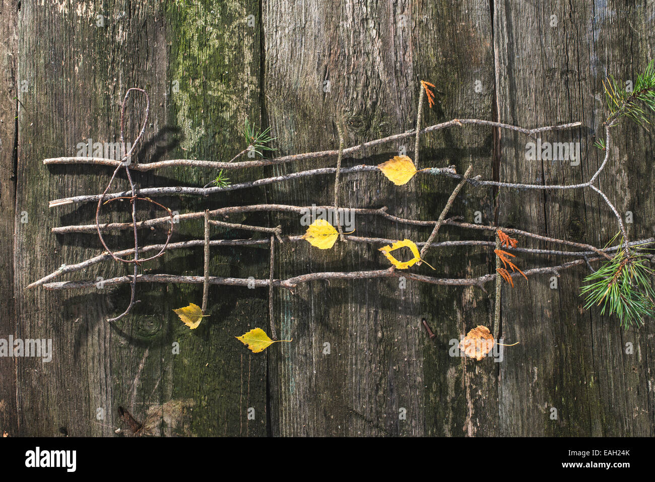 Des notes de musique la conception. Notes de musique en bois et les feuilles Banque D'Images