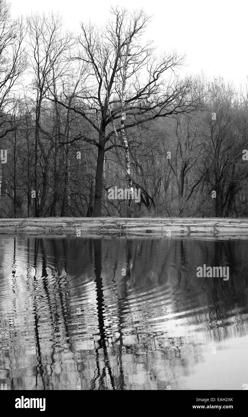 Arbres se reflétant dans un étang sur un fond de ciel d'automne gris Banque D'Images