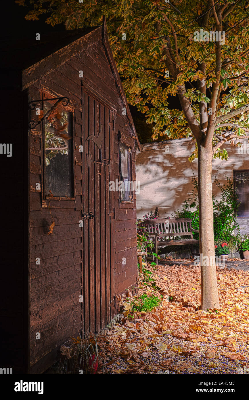 Automne / fall . Feuilles d'érable tombé dans un jardin avec abri de jardin Banque D'Images