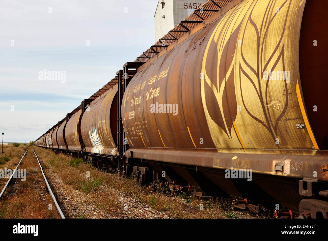 Camions de grain de fret sur l'ancien chemin de fer du Canadien Pacifique maintenant Great Sandhills railway avec leader Saskatchewan Canada Banque D'Images