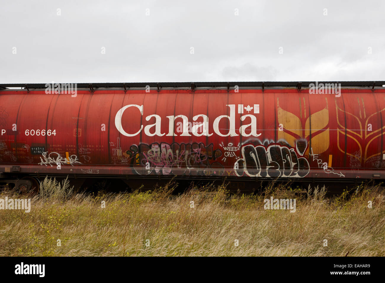 Transport Canada camions de grain sur le chemin de fer Canadien Pacifique Saskatchewan Canada Banque D'Images
