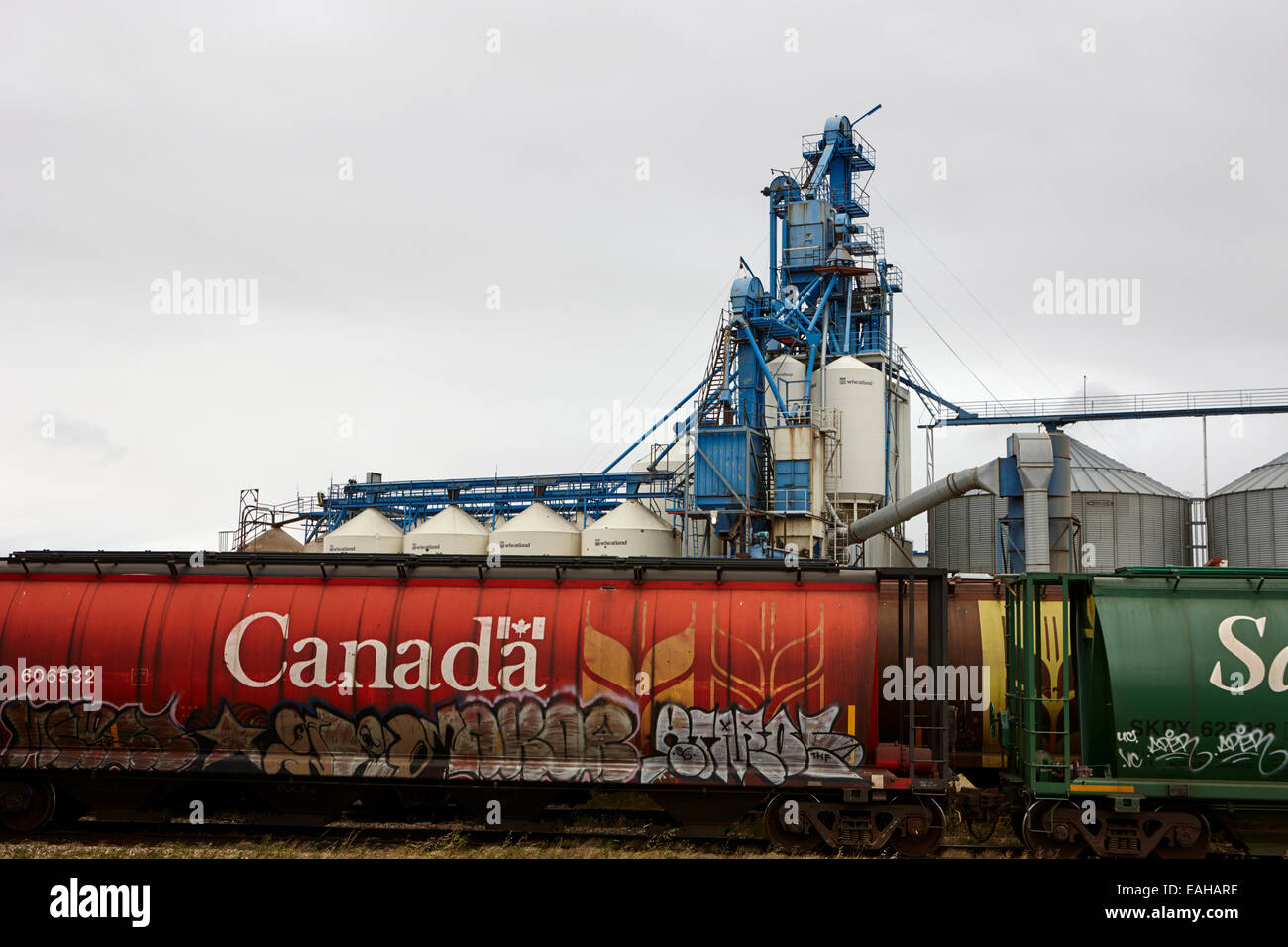 Transport Canada camions de grain sur le chemin de fer Canadien Pacifique Saskatchewan Canada Banque D'Images