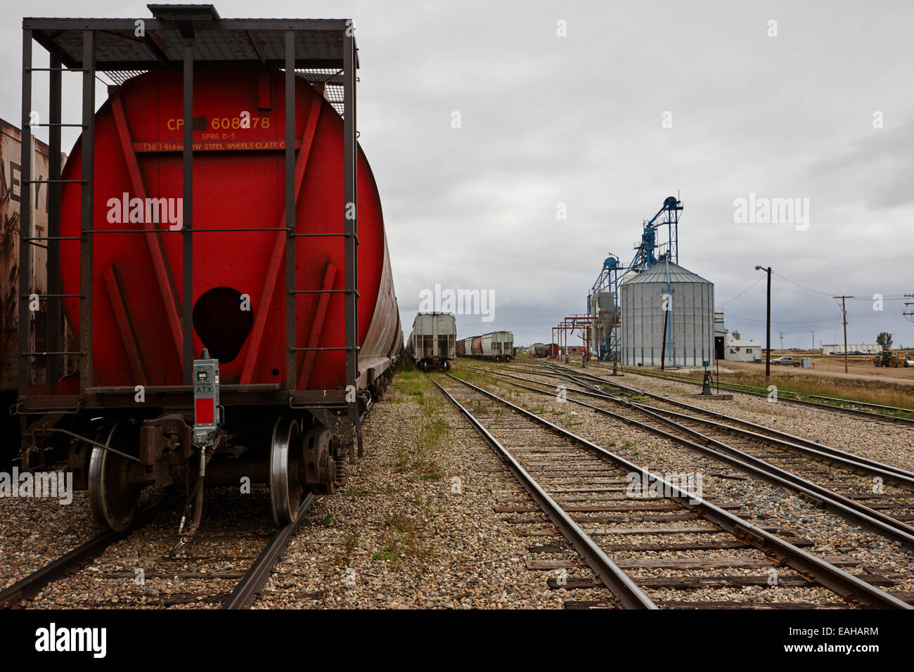 Camions de grain de marchandises sur le chemin de fer Canadien Pacifique à Assiniboia depot Saskatchewan Canada Banque D'Images