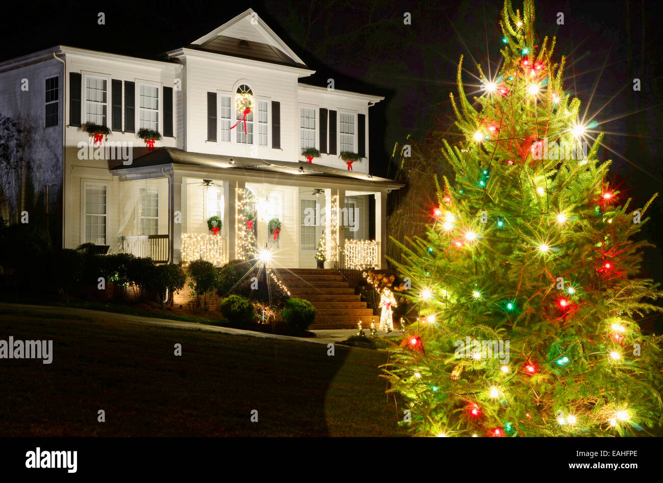 Les arbres de Noël en plein air ont été décorées de rouge, vert et blanc et feux tourné contre une maison de style victorien. Banque D'Images