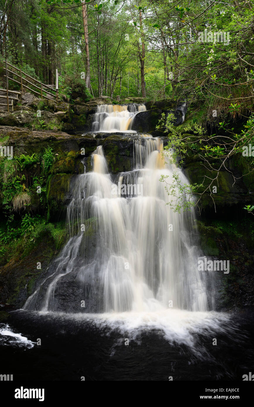 Cascade Glenbarrow montagnes de Slieve Bloom Clonaslee Laois Irlande barrow falls chutes d'écoulement de flux RM L'Irlande Banque D'Images