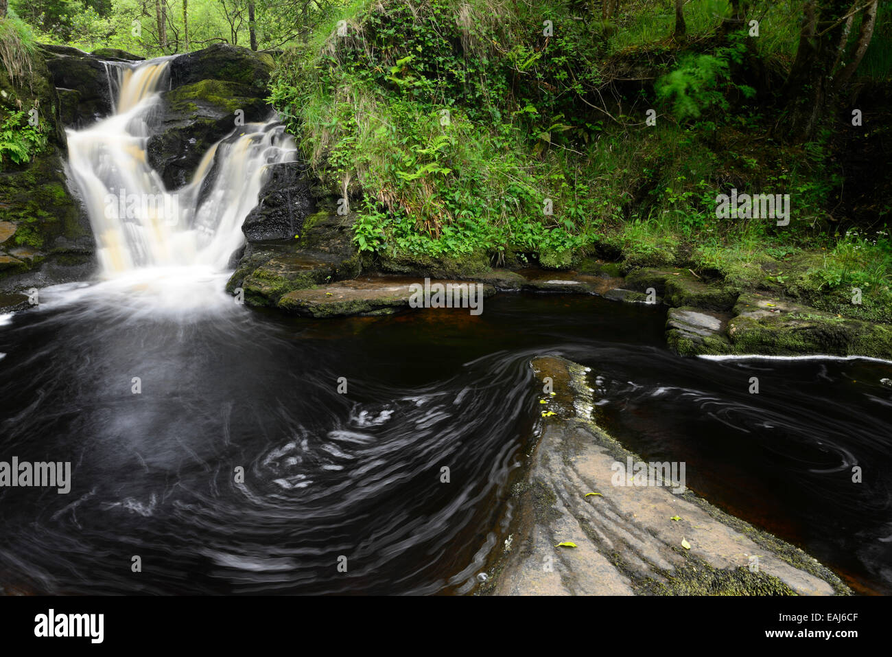 Cascade Glenbarrow montagnes de Slieve Bloom Clonaslee Laois Irlande barrow falls chutes d'écoulement de flux RM L'Irlande Banque D'Images