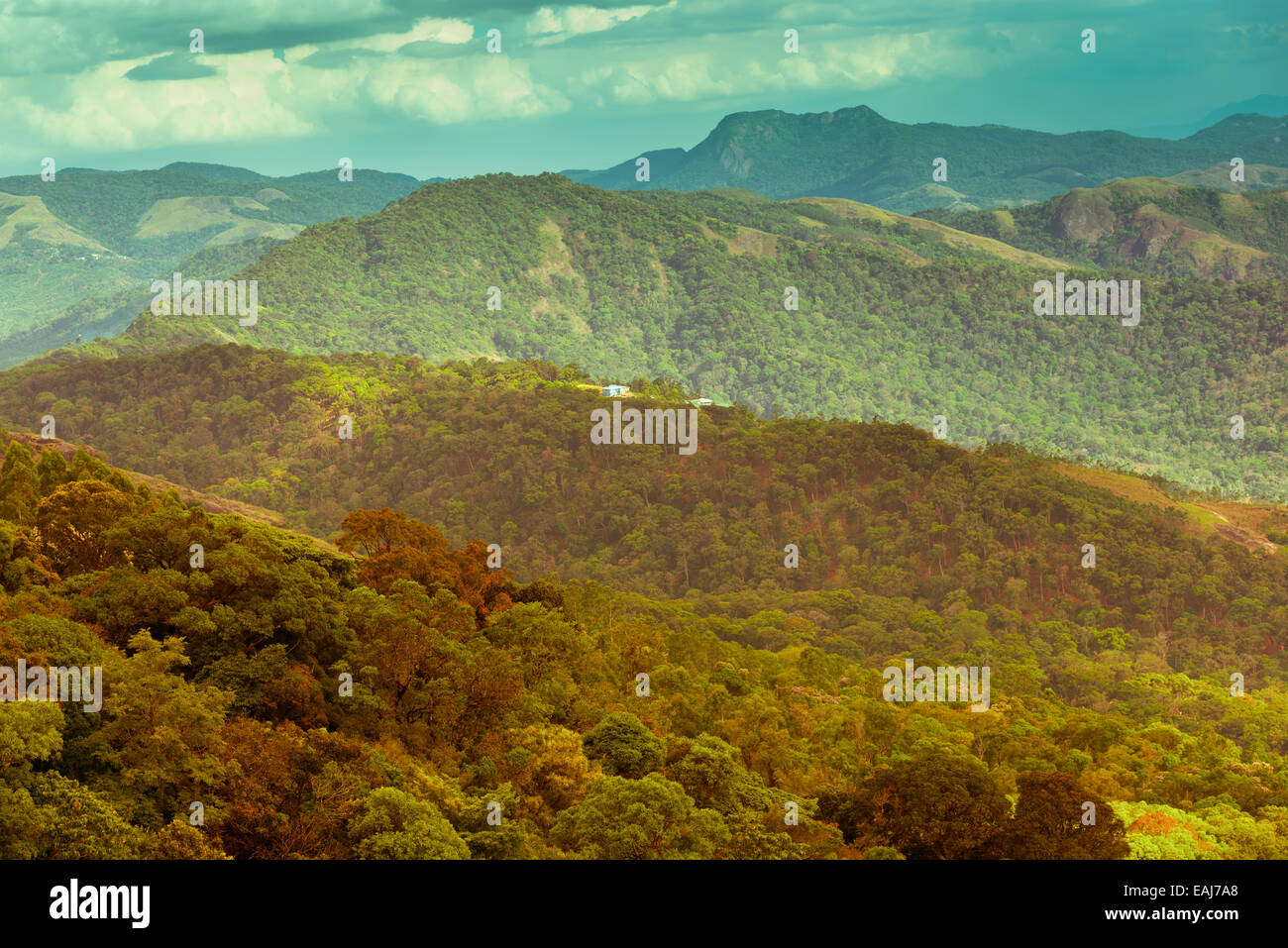Beau paysage avec des montagnes en Inde, Kerala, Munnar, style vintage Banque D'Images
