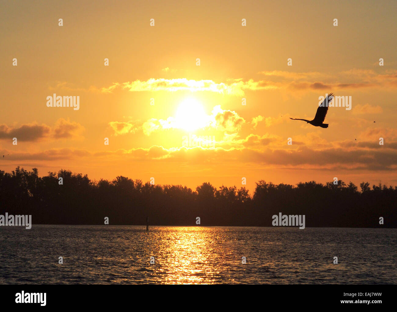 Bradenton, Floride, États-Unis. 16 novembre 2014. Des scènes de lever du soleil depuis la rampe de bateaux de South Coquina dans l'État du soleil. Un début cool à la journée à 62 F prévu pour augmenter plus tard dans la journée Banque D'Images