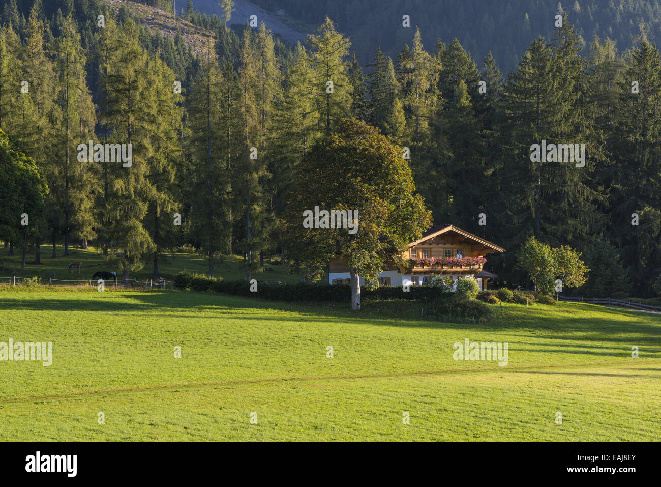 Vallée de Ramsau à Dachstein, Styrie, Autriche, Ramsau Banque D'Images