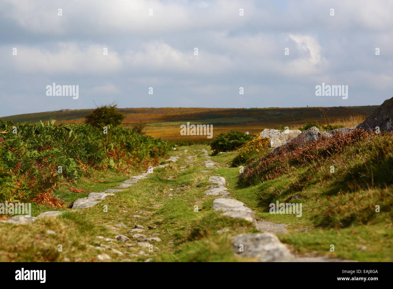 Granit haytor dartmoor tramway construit en 1820 Banque D'Images