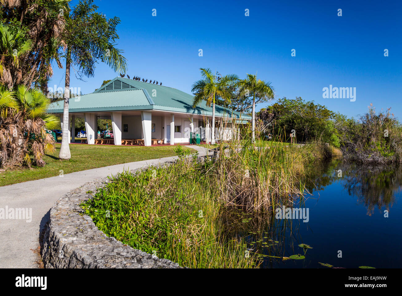 Le centre de visiteurs le long de l'anhinga Trail dans le parc national des Everglades, en Floride, aux États-Unis. Banque D'Images
