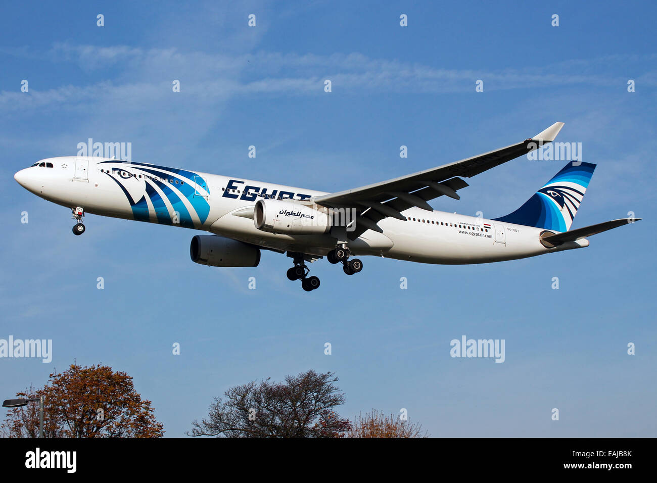 Egyptair Airbus A330-300 de la piste 27L à l'approche de l'aéroport Heathrow de Londres. Banque D'Images