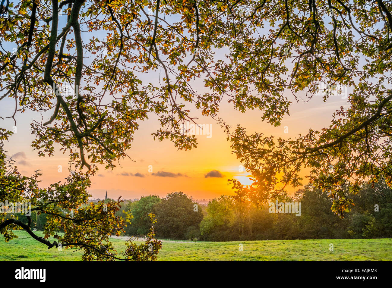 Matin d'automne lever de soleil sur Hampstead Heath - Londres Banque D'Images