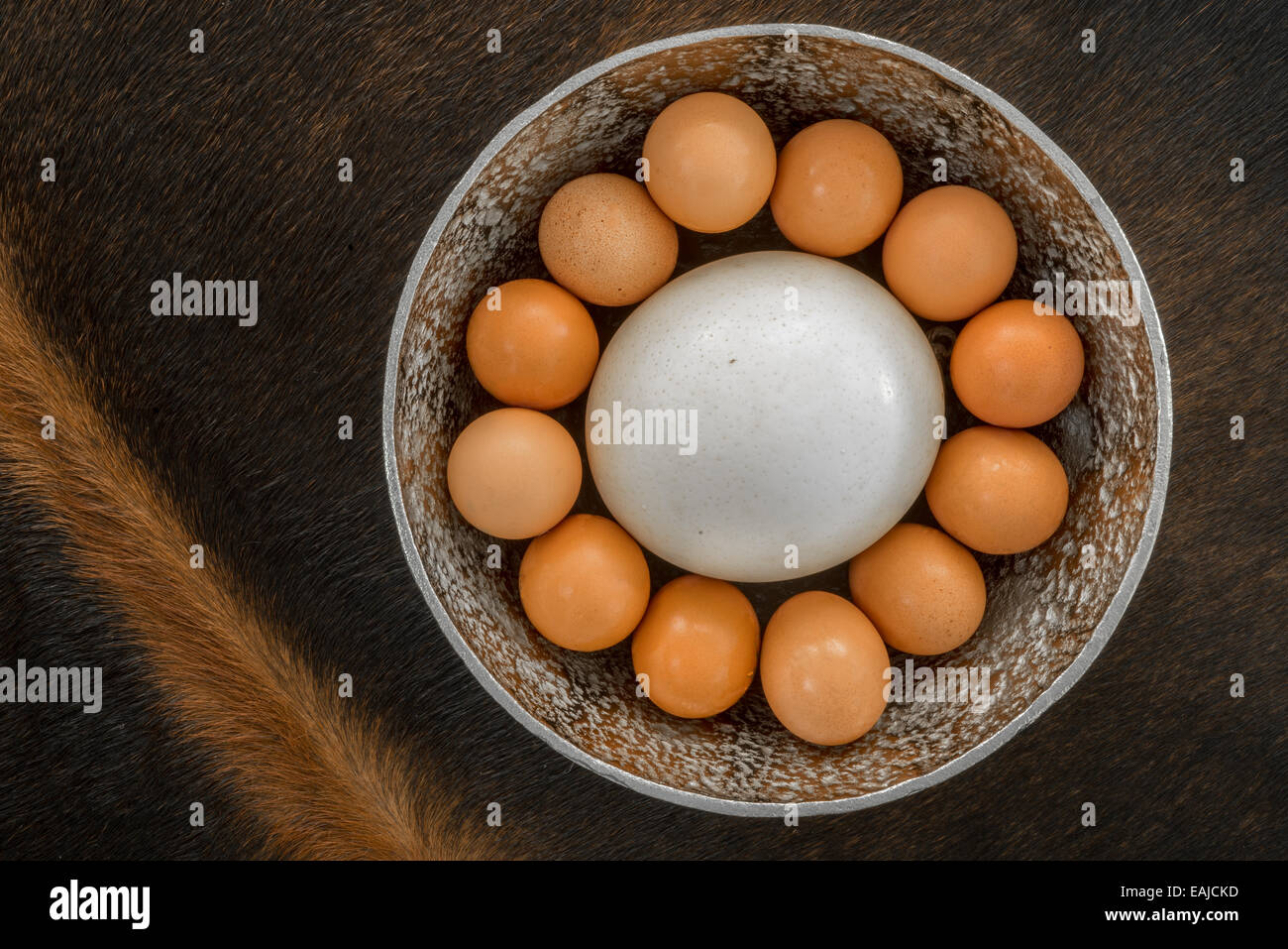 Gros œufs de poule Banque de photographies et d’images à haute
