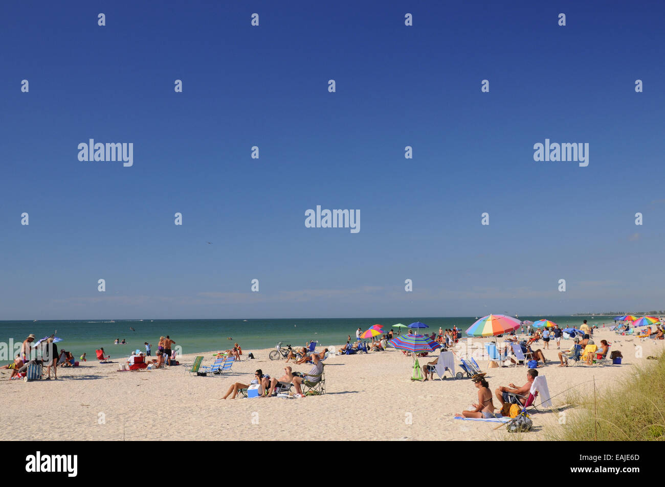 Casey Key, Floride, États-Unis.16 novembre 2014. La température monte de nouveau sur la côte du Golfe. 84 Degrés F. les amoureux de la plage profitent avant une autre prévision de froid Banque D'Images