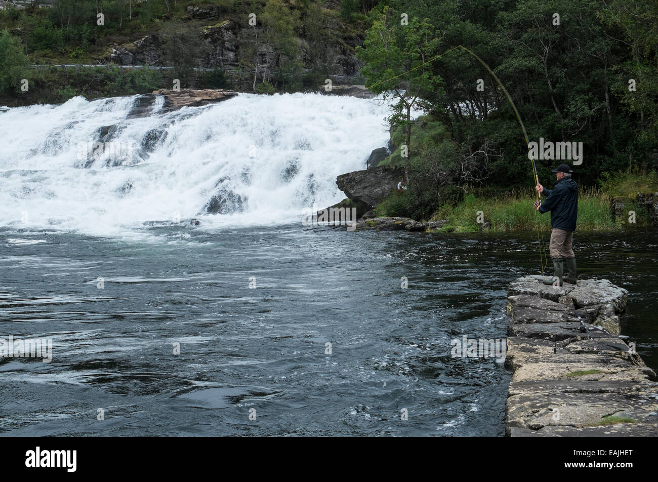 Pêcheur de mouche Saumon en rivière Gaula, Norvège Banque D'Images
